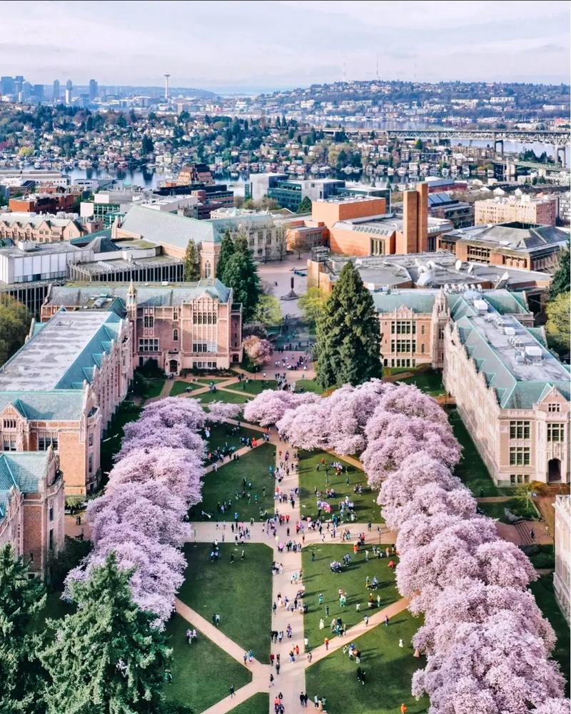 新南威尔士大学